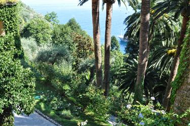 Hotel Splendido