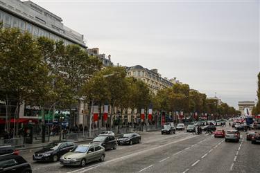 Avenue des Champs-Elysees