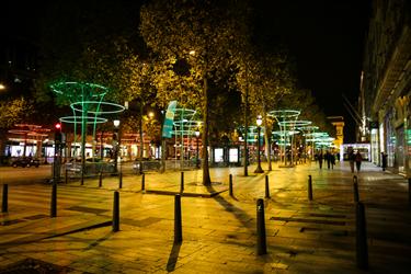 Avenue des Champs-Elysees