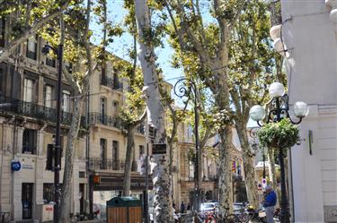 Avignon Center, Avignon, France