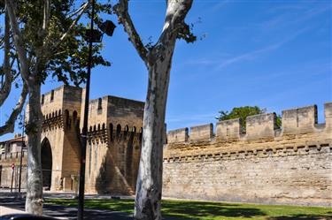 Avignon City Gates (Porte de la Republi