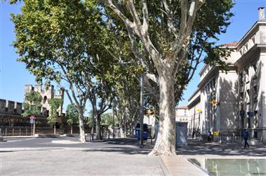 Avignon City Gates (Porte de la Republi