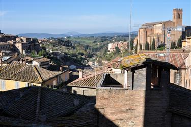 Basilica di San Domenico