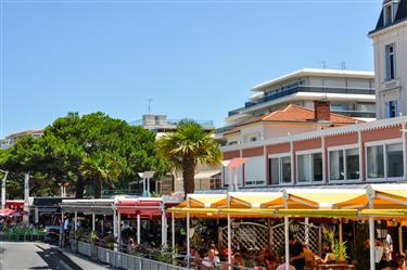 Bassin d’ Arcachon