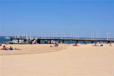 Bassin d’ Arcachon