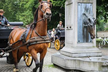 Bruges Horse Carriages