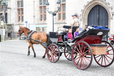 Bruges Horse Carriages