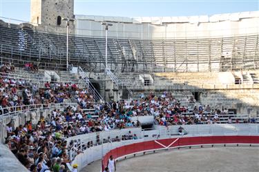 Camargue Races