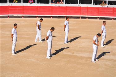 Camargue Races