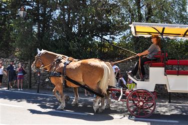 Carcassone Horse Wagon Tour