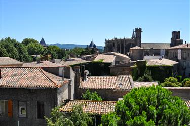 Carcassonne Medieval City