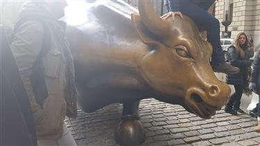 Wall street bull