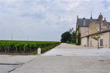 Chateau Lascombes