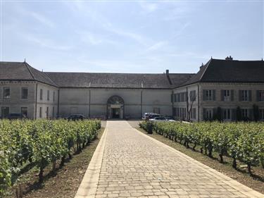 Chateau de Chassagne-Montrachet