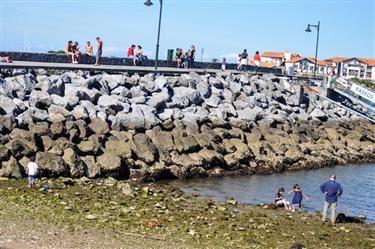 Hondarribia Marina