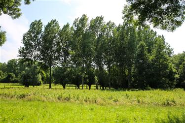 Ingendael, Valkenburg, Netherlands