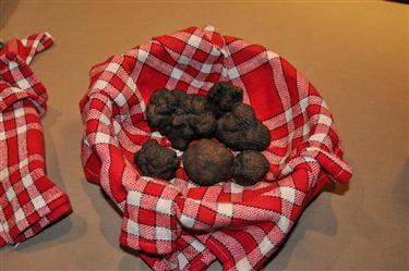 Maison de la Truffe, Villeneuve-Minervois, France