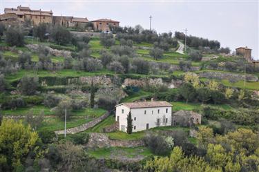 Montalcino Center