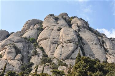 Montserrat Center