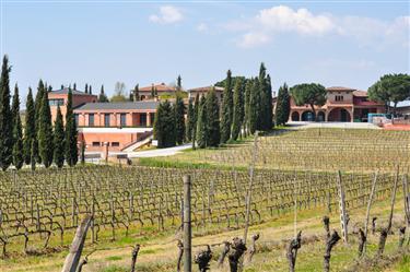 Poliziano Winery