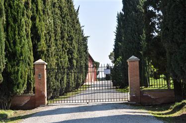 Poliziano Winery