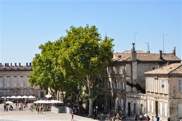 Pope’s Palace (Palais des Papes), Avign