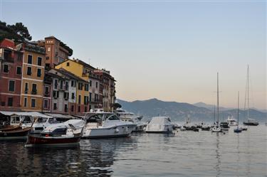 Portofino Harbor