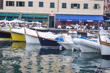 Portofino Harbor