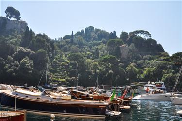 Portofino Harbor