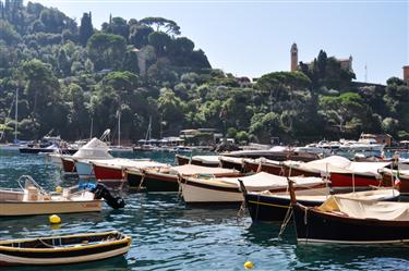 Portofino Harbor