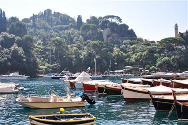 Portofino Harbor