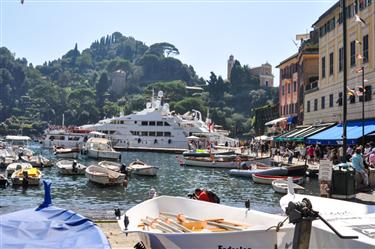 Portofino Harbor