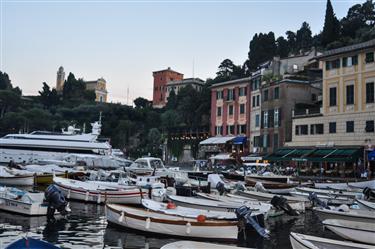 Portofino Harbor