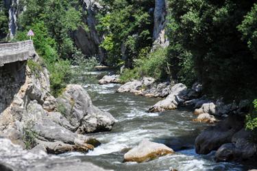 Pyrenees