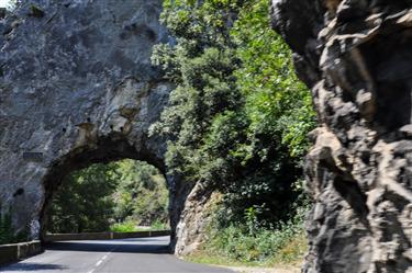 Pyrenees