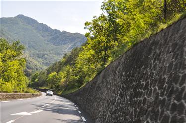 Pyrenees