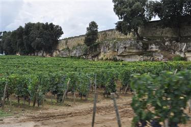 Saint-Emilion Vineyards, Saint-Emilion, France