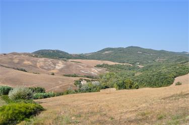 Tuscan Countryside, Tuscany, Italy