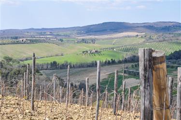 Tuscan Countryside, Tuscany, Italy