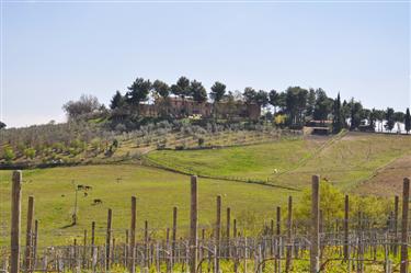 Tuscan Countryside, Tuscany, Italy