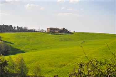 Tuscan Countryside, Tuscany, Italy