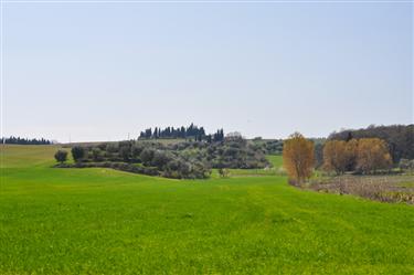 Tuscan Countryside, Tuscany, Italy