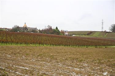 Vufflens-le-Chateau Center, Vufflens le Château, Switzerland