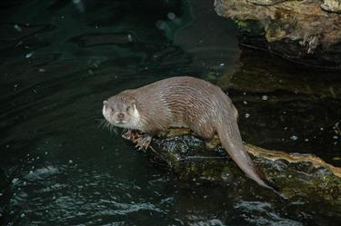 Zoo Salzburg