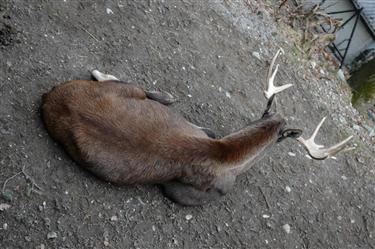 Zoo Salzburg