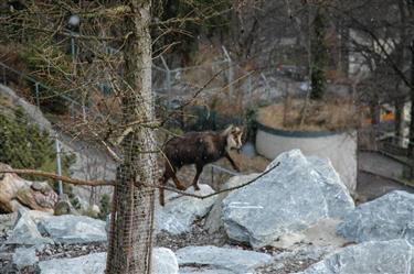 Zoo Salzburg