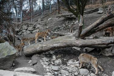 Zoo Salzburg