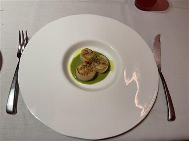 La Tortuga Restaurant